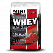 Заказать Vision Whey Gainer 2250 гр